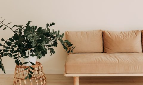 near neutral color palette and paint colors