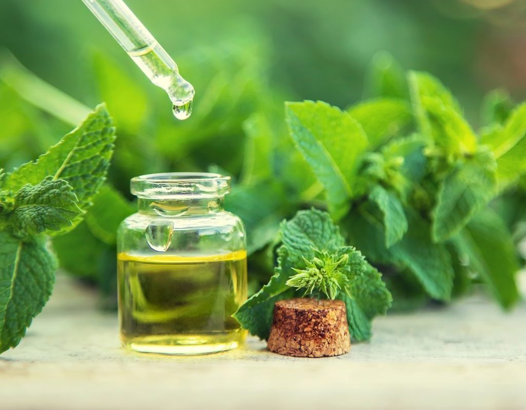 Peppermint essential oil in a small bottle with nature background