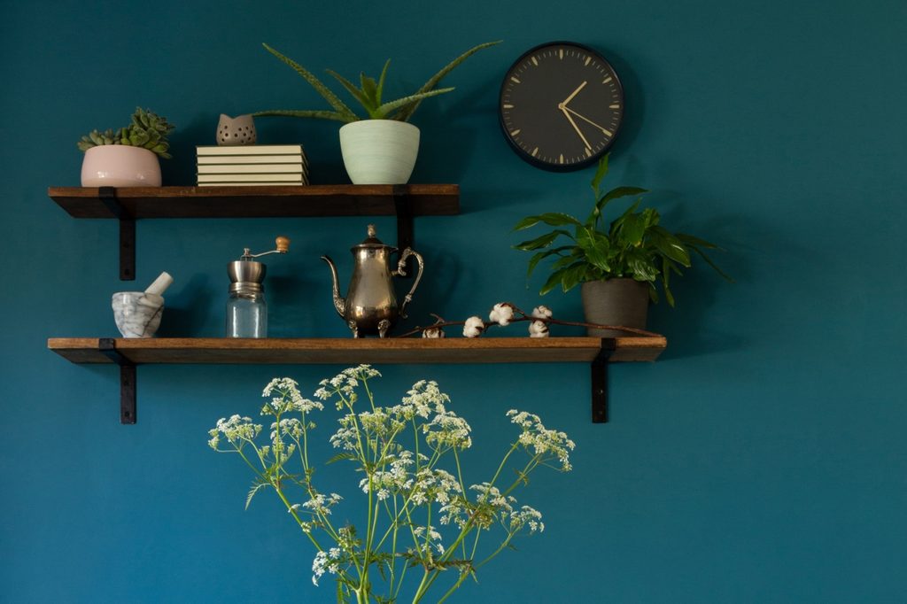 blue walls with shelves of curated decor pieces