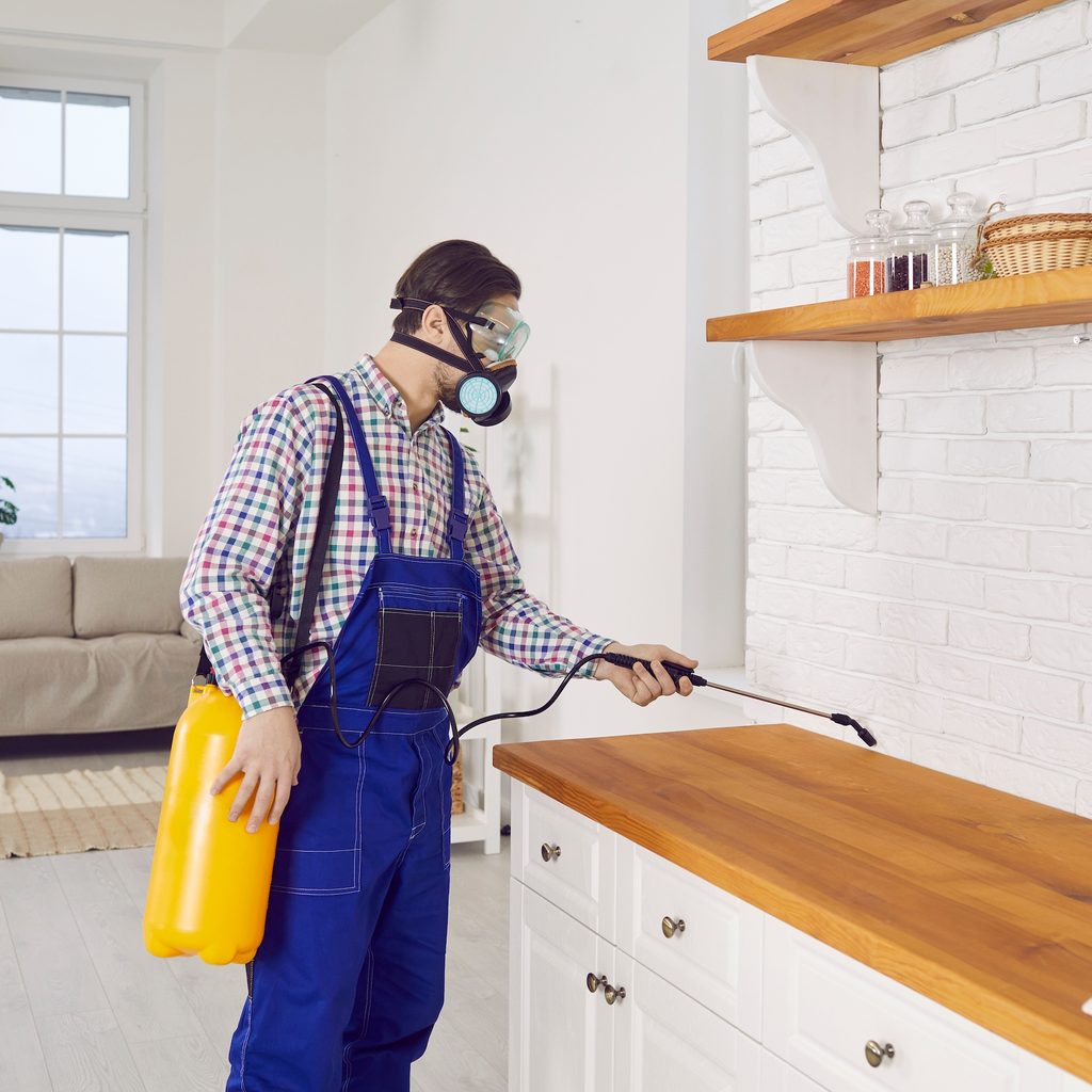 Man spraying kitchen with insecticide.