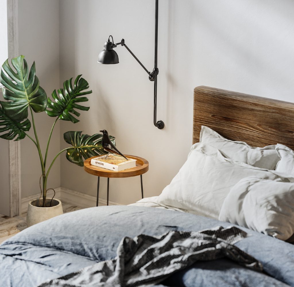 Comfortable bedroom with plant, lamp, and bed.