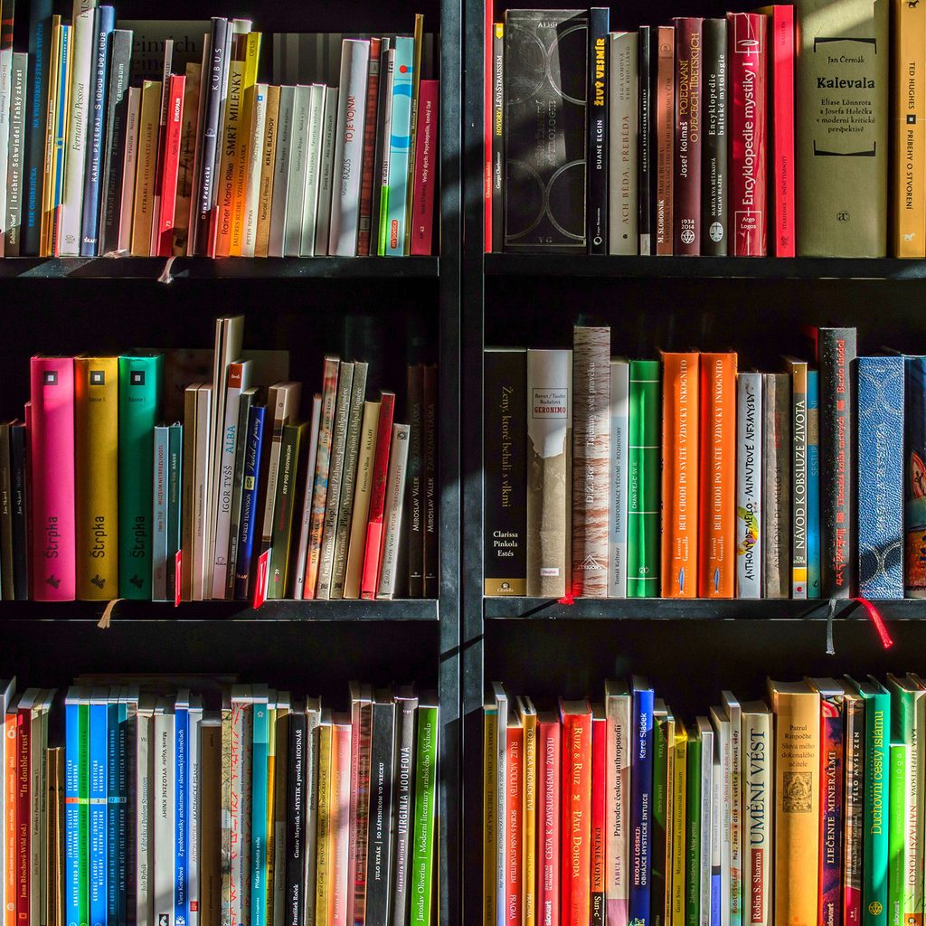 Full bookcase with colorful books