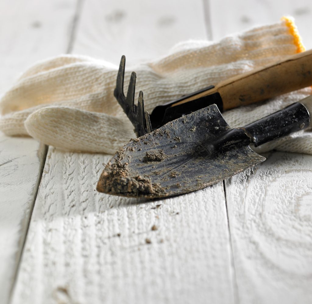 Dirty garden tools with glove on work bench.