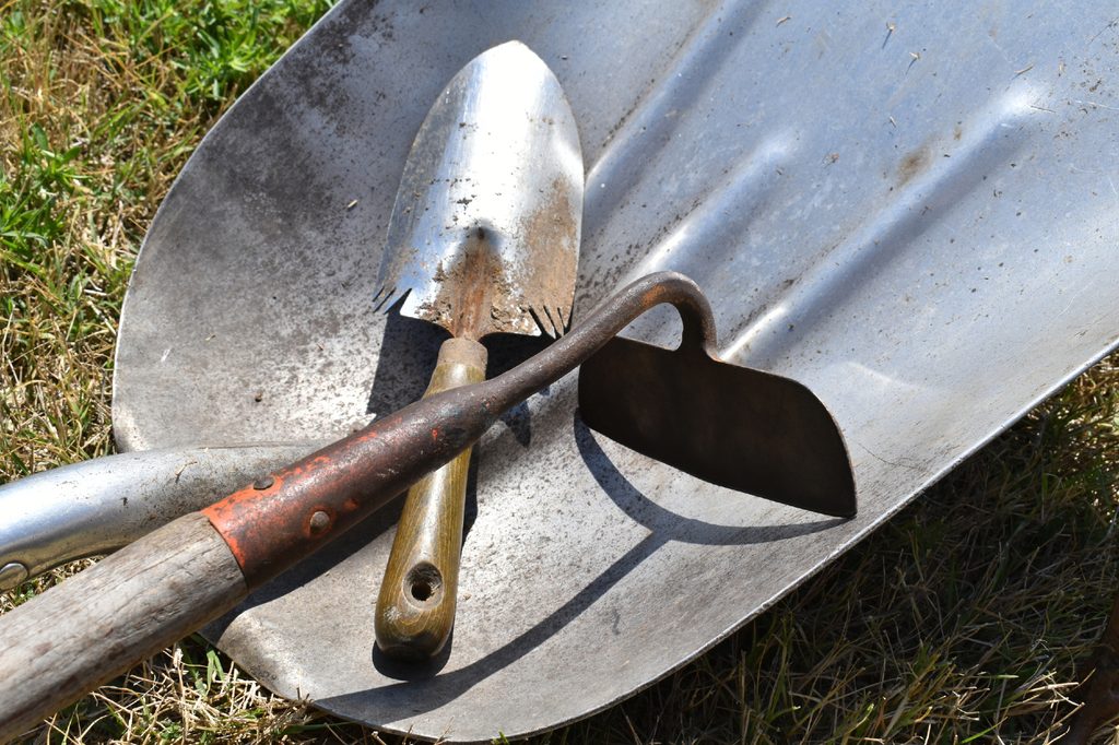 Dirty garden tools in wheelbarrow.