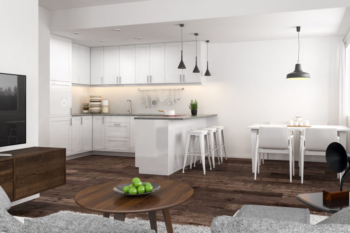 contrasting minimalism home design