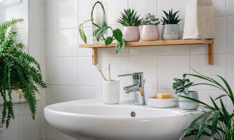 Modern white bathroom with bamboo shelves and plants