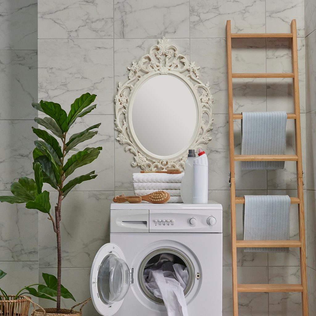 Laundry room with mirror and plant