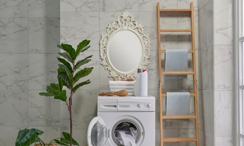 Laundry room with mirror and plant