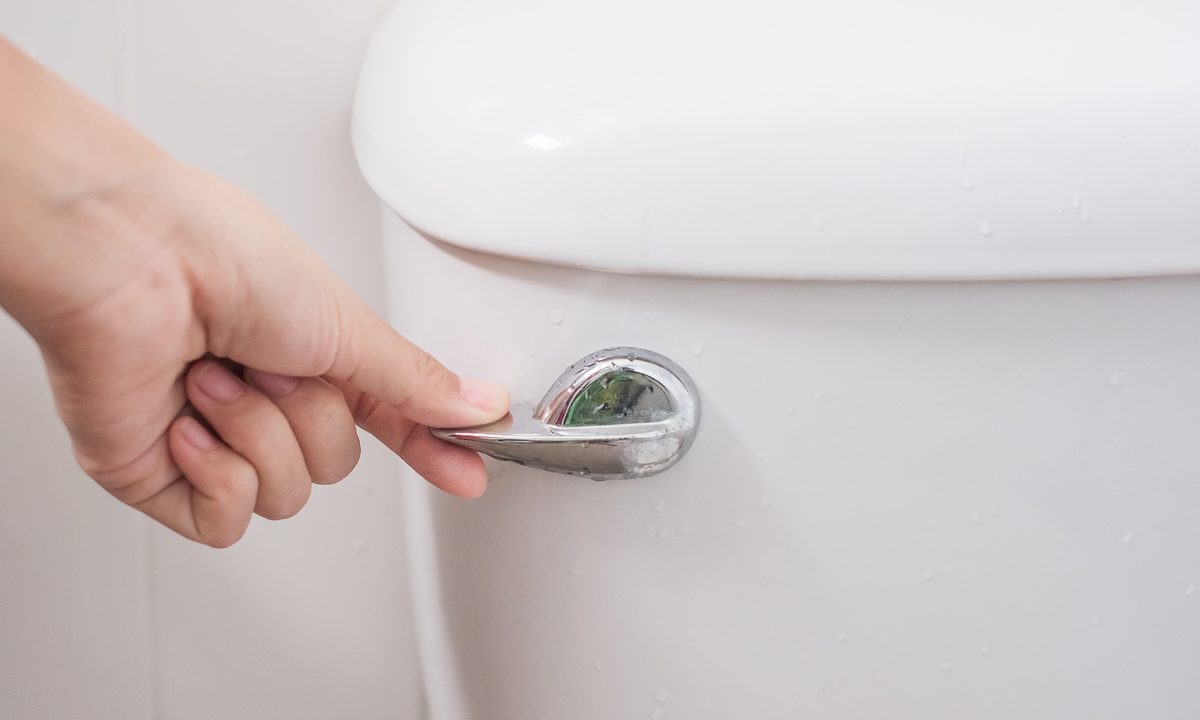 Person pressing down on a toilet flush handle