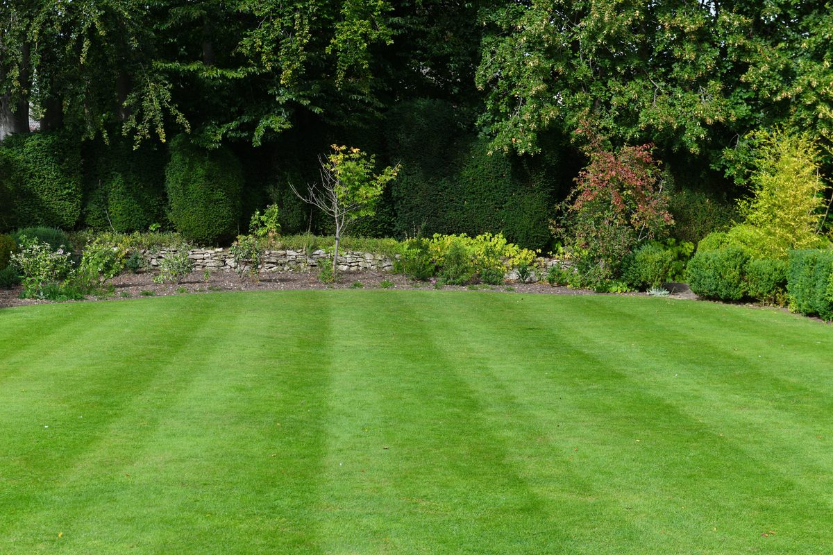 Large, manicured lawn with a backdrop of trees and bushes