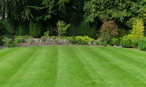 how to fix a yard that holds water shutterstock 1936658137