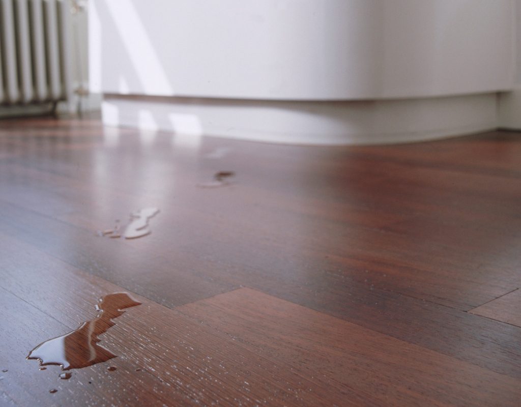 water footprints on the bathroom floor