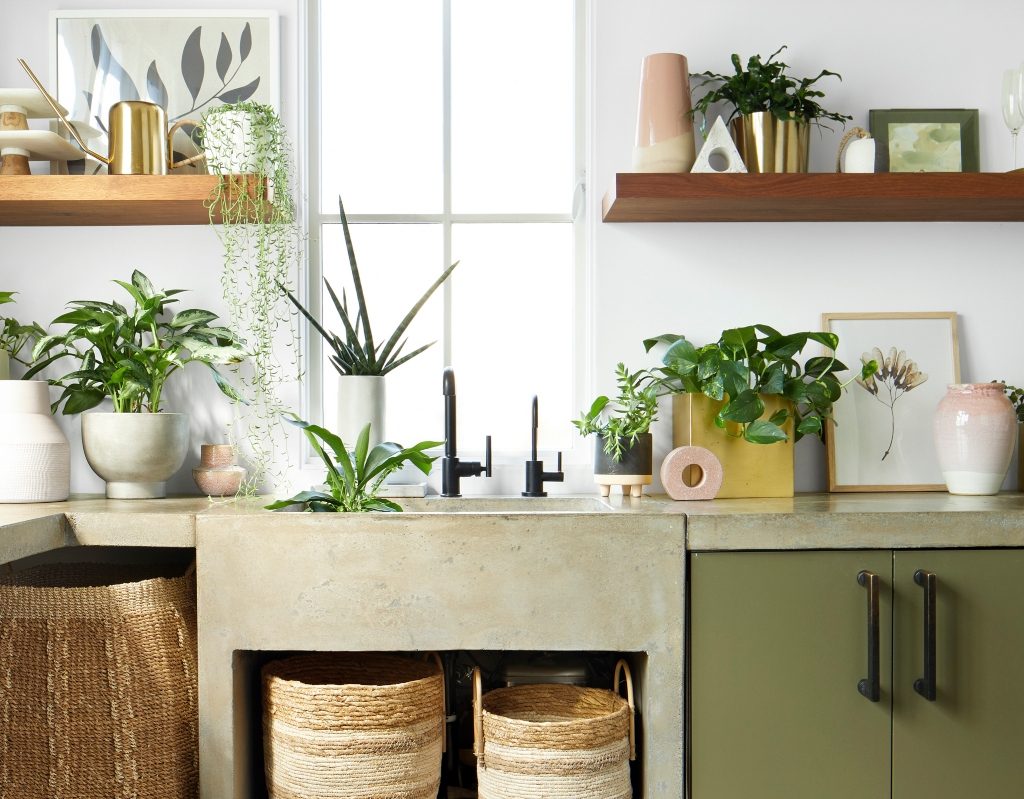 plants on green cabinet for biophilic design by FLOR