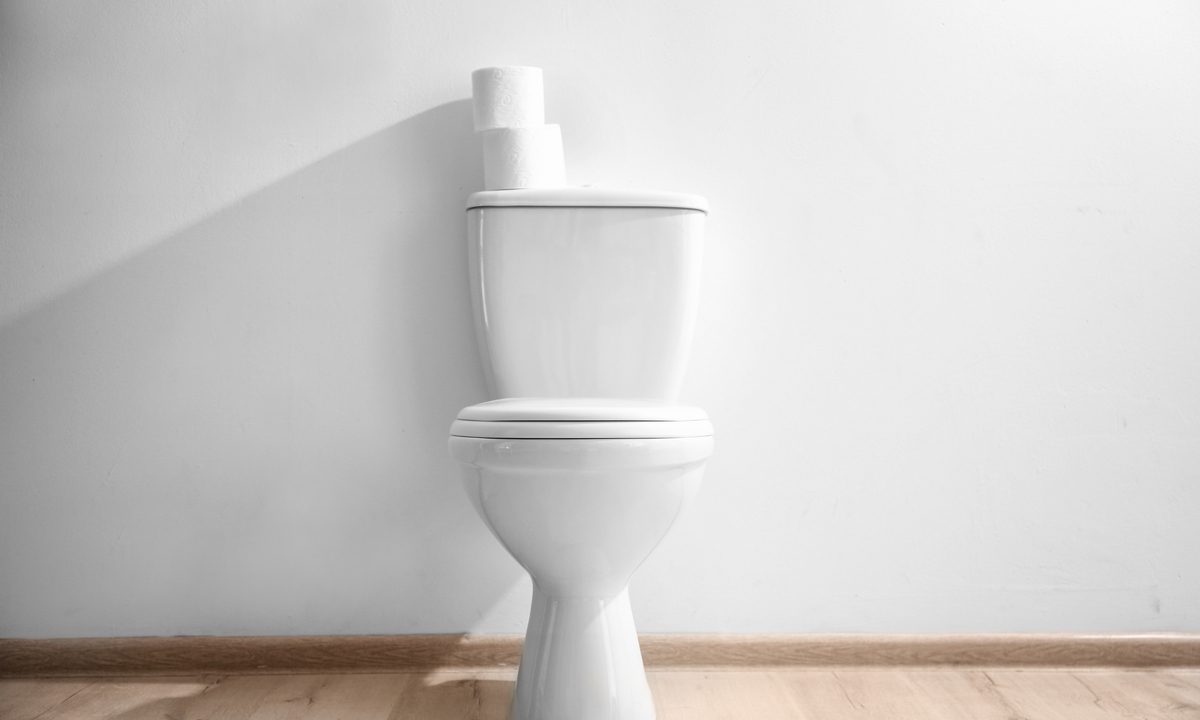 how to replace a toilet shutterstock 1115737901