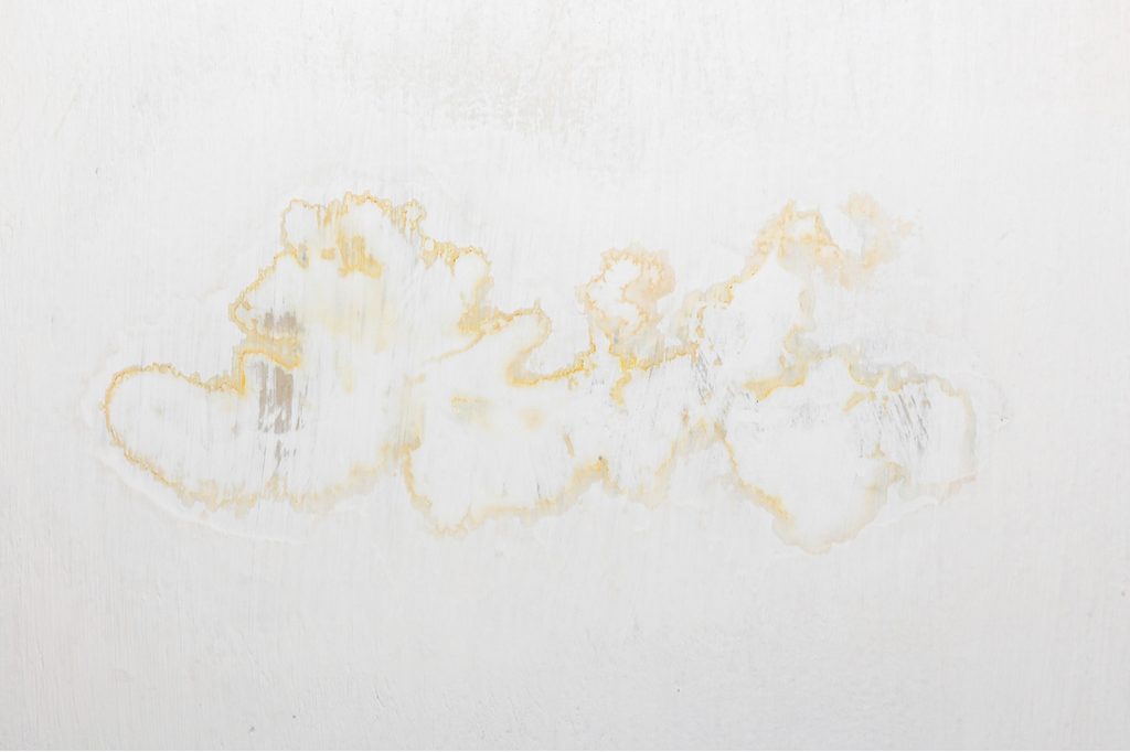 Water stain on the ceiling