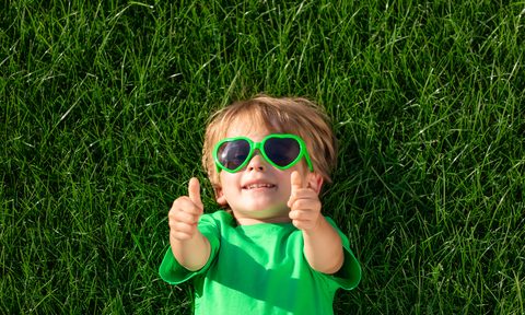 how to fix patchy grass shutterstock 1902434023