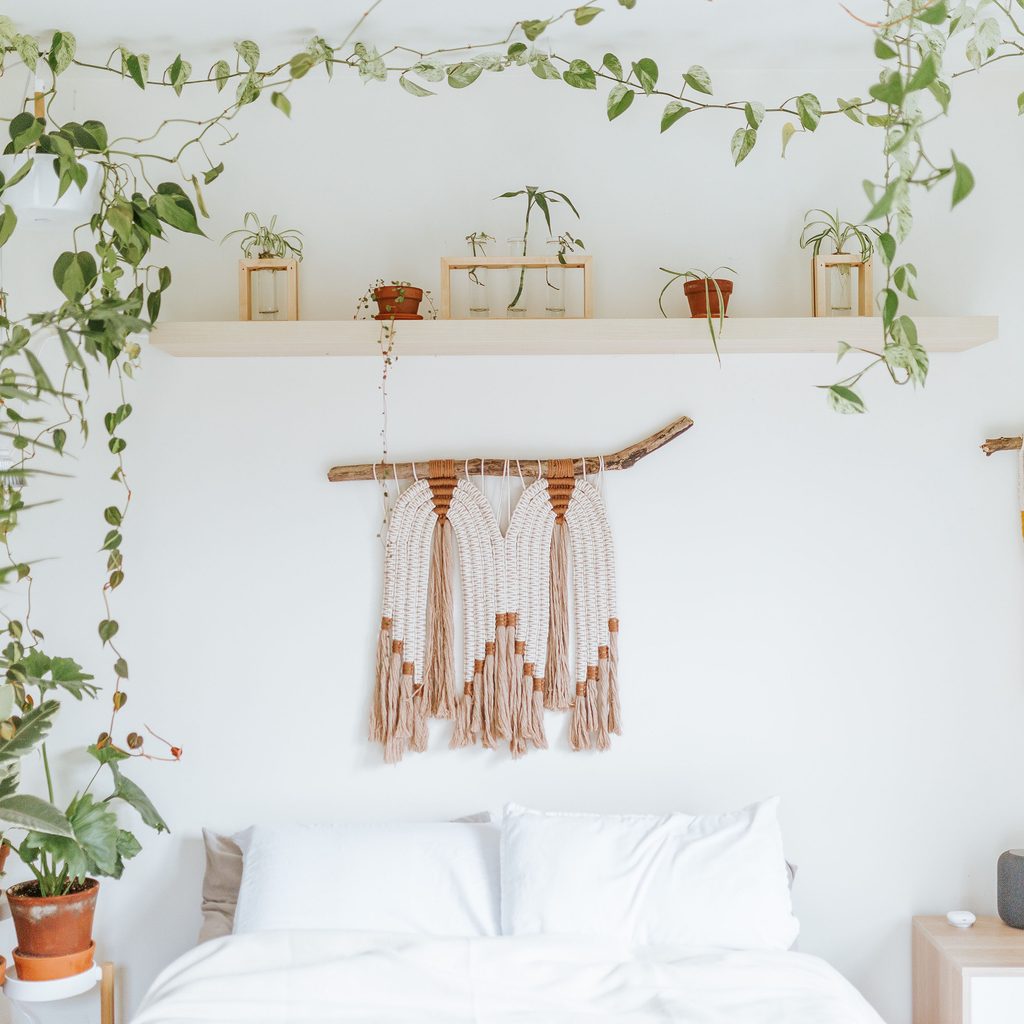 White bedroom with hanging vines and other plants