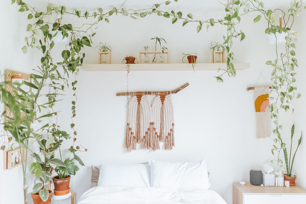 White bedroom with hanging vines and other plants