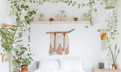 White bedroom with hanging vines and other plants