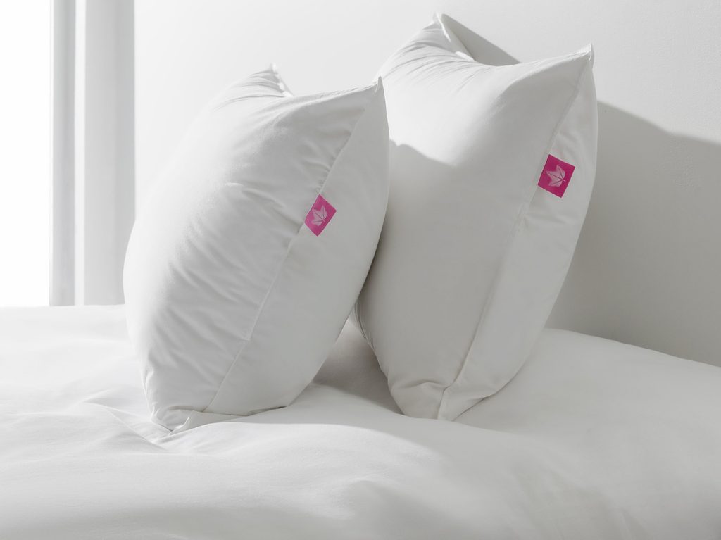 Cozy Canadian Down pillows on bed with beautiful lighting.