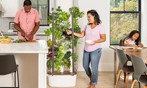 My Gardyn home kit -being used in kitchen
