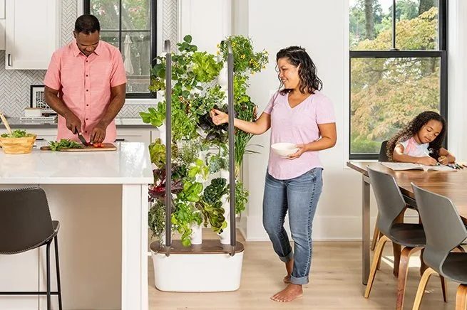 My Gardyn home kit -being used in kitchen