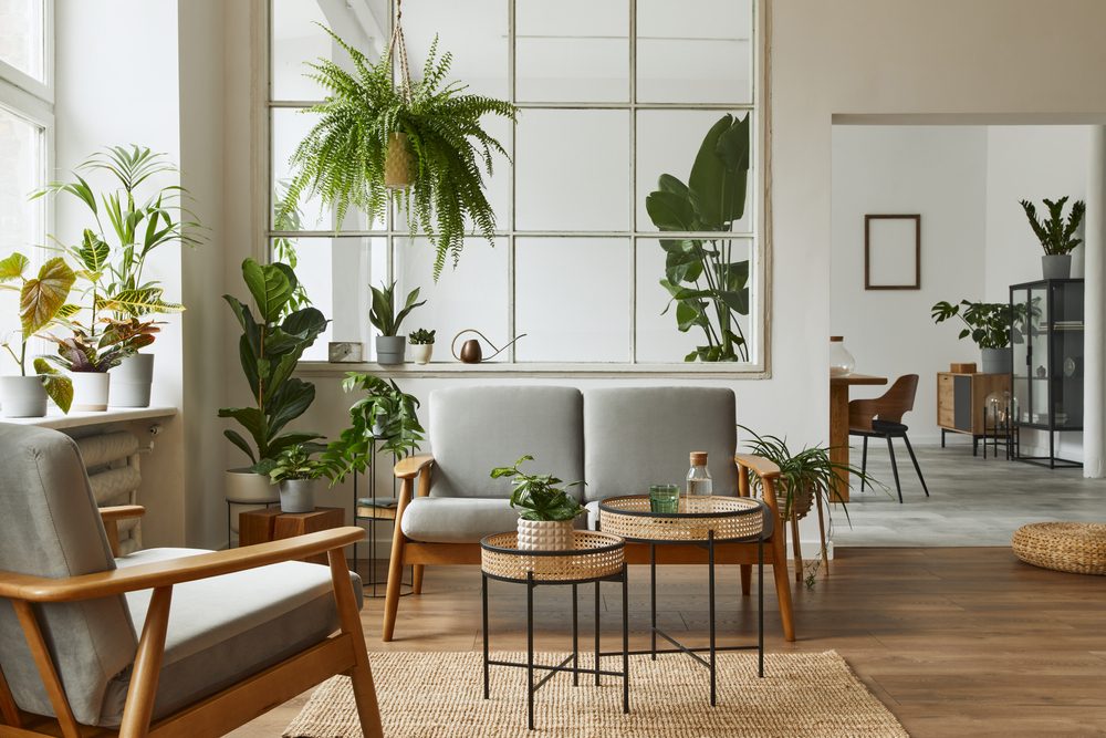 Living room with plants