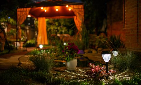 Small decorative solar garden lights in flower bed garden