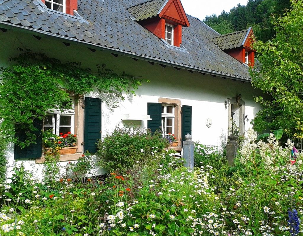Cottage home with wildflower front yard garden