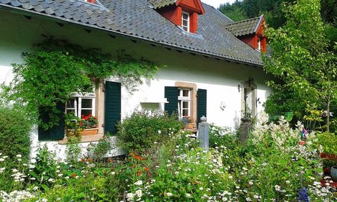 Cottage home with wildflower front yard garden
