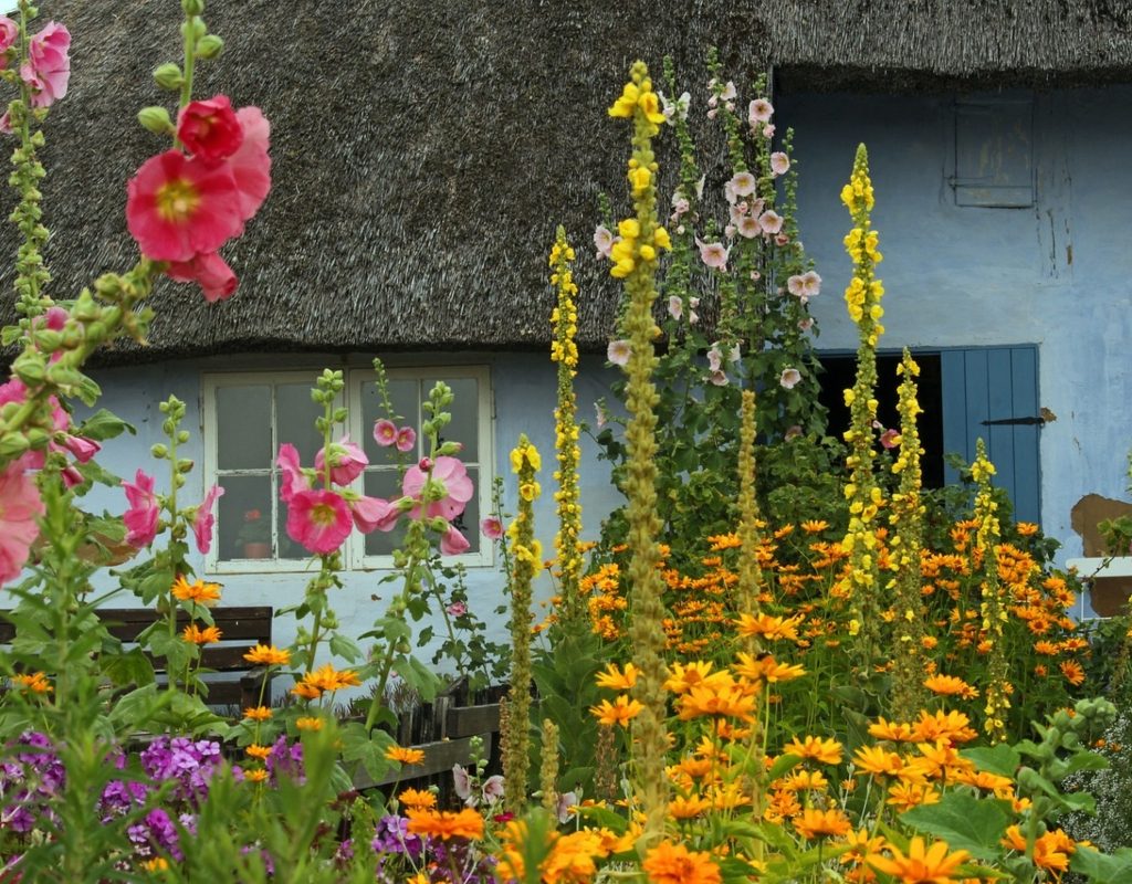 Small farmhouse with wildflowers in the foreground of a front yard