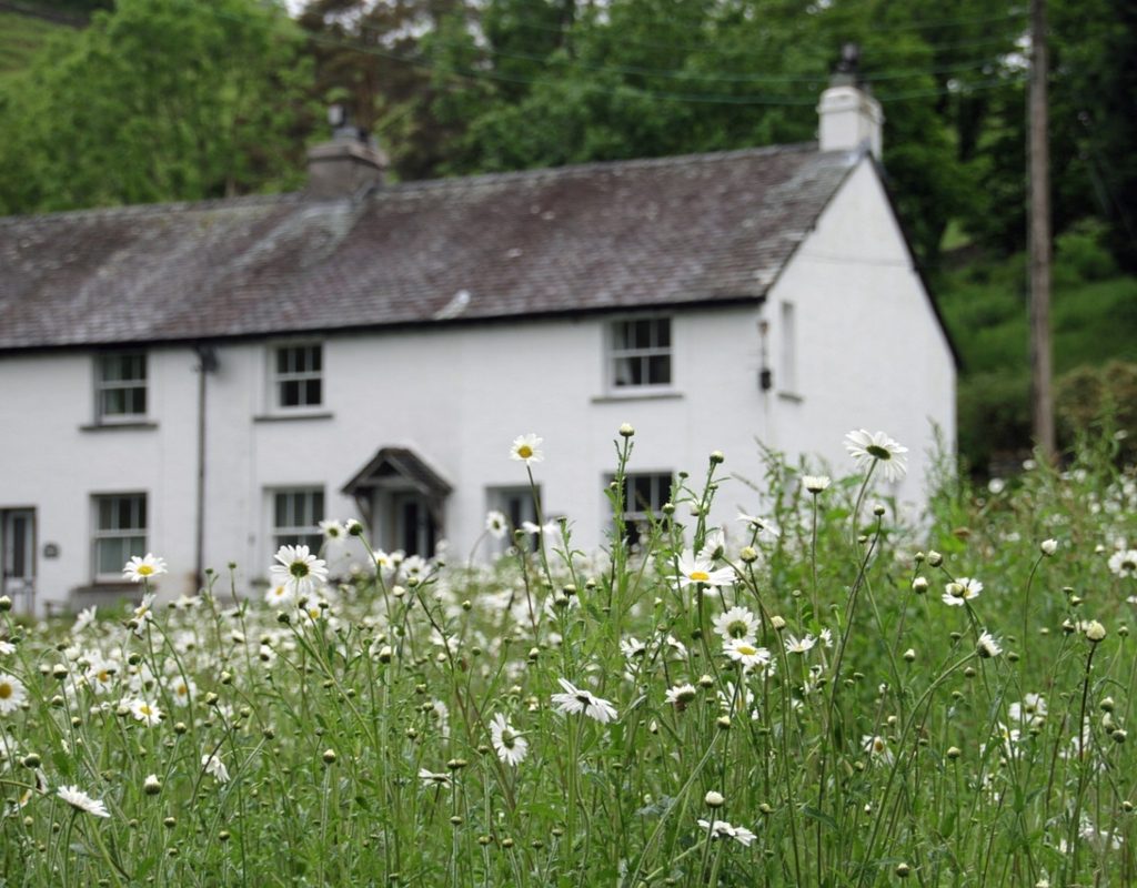 Farmhouse with wildflowers in front yard