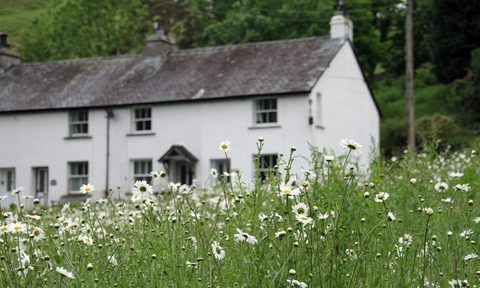 Farmhouse with wildflowers in front yard