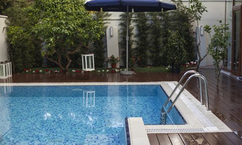 Backyard pool with umbrella and plants