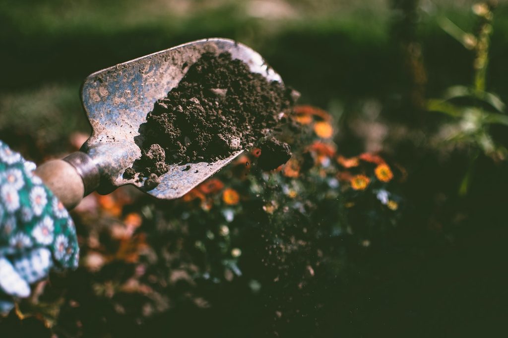 Person wearing gardening gloves digging soil with garden spade