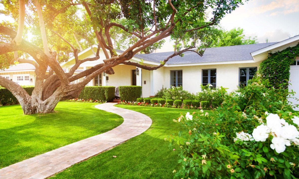 Single-family home with curved walkway and large tree in front yard