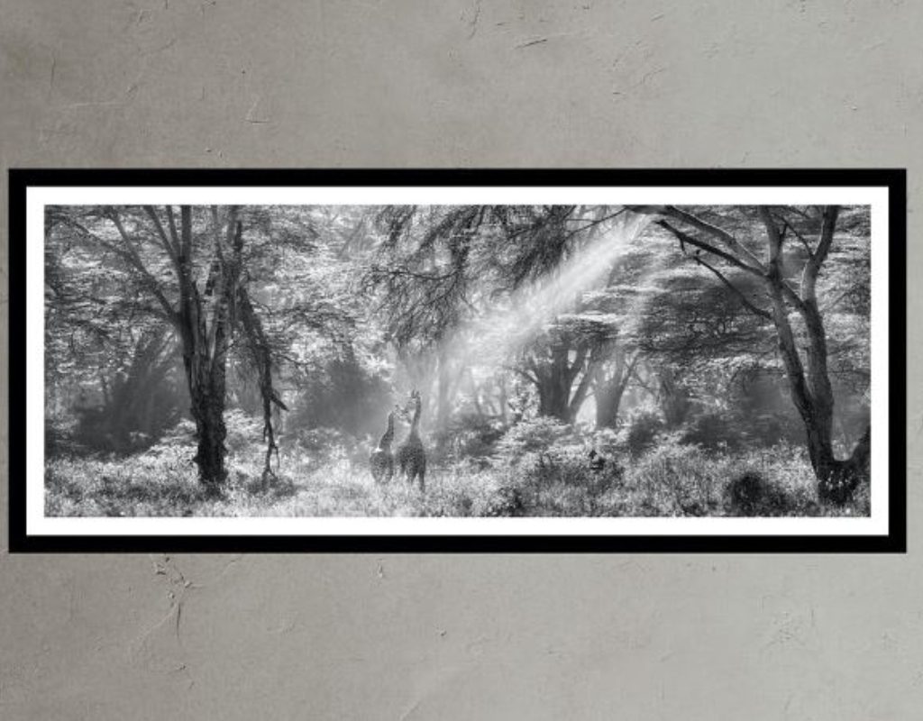 photo from Banana Republic Home collection