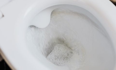 Water in a toilet bowl