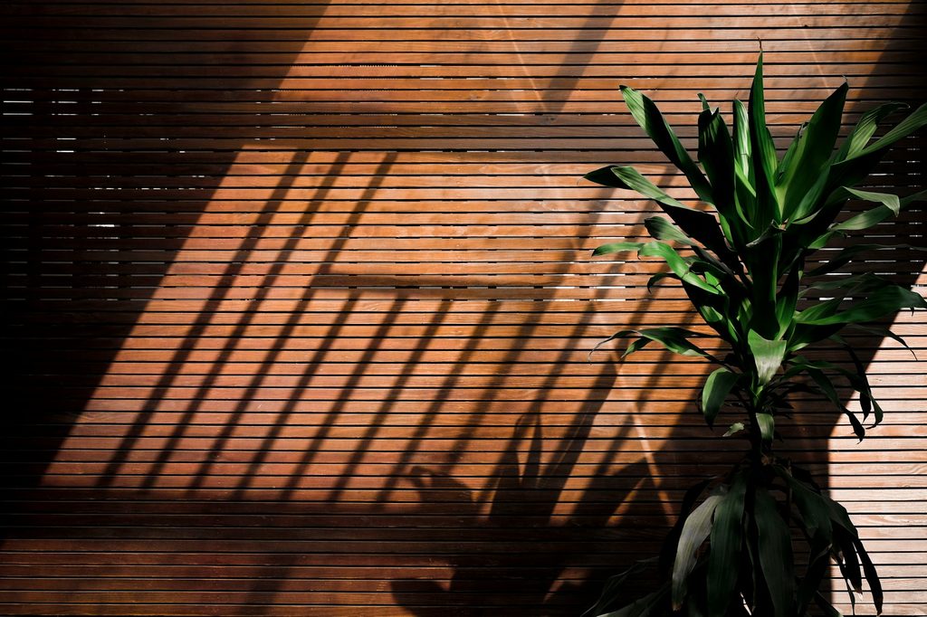 dark wood slat wall next to green plant