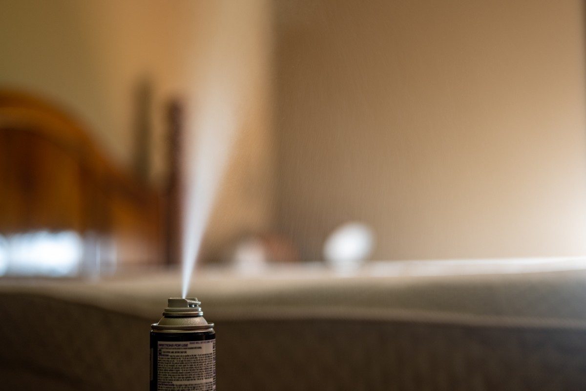 best bed bug spray
