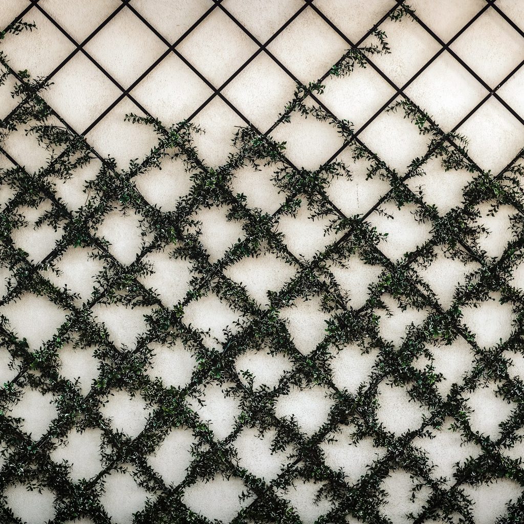 Diamond-shaped wall trellis against a white background