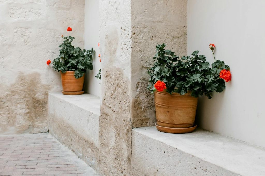 Stone patio with wall niches and plants
