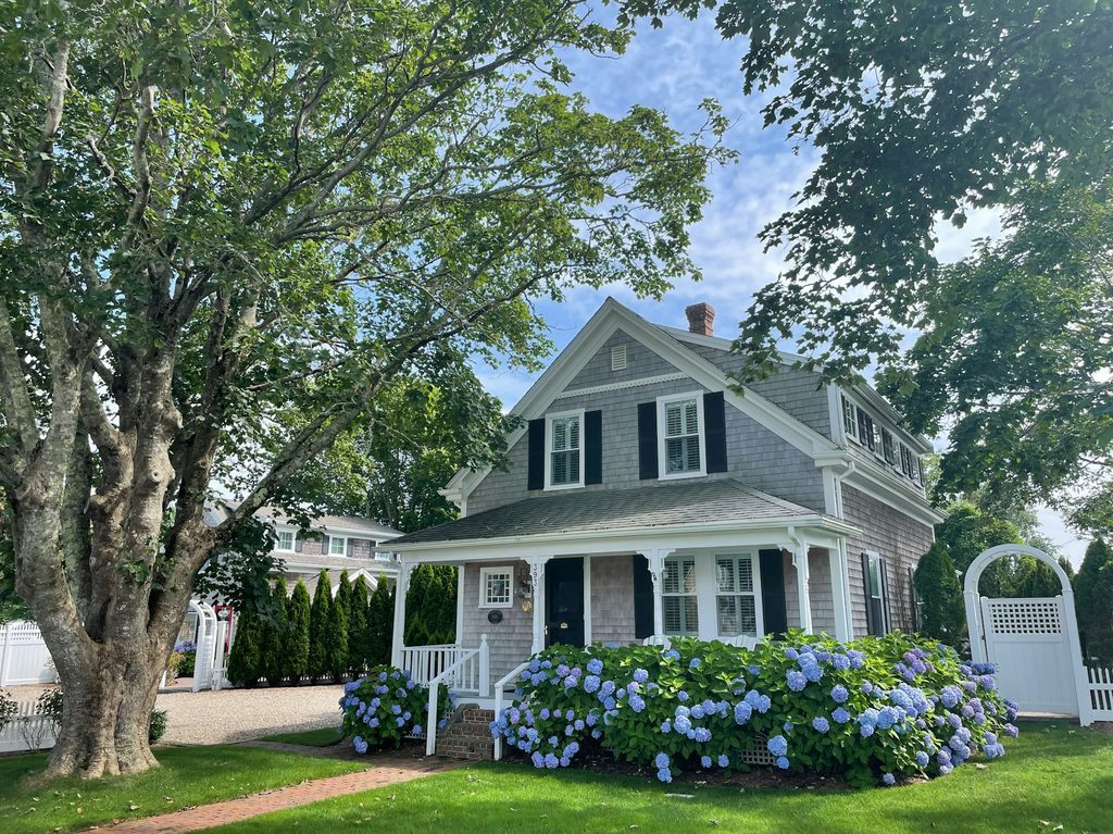 Simple home with blue flowering bushes
