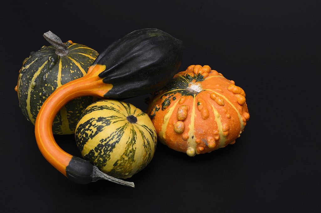 Fall gourds on a black surface