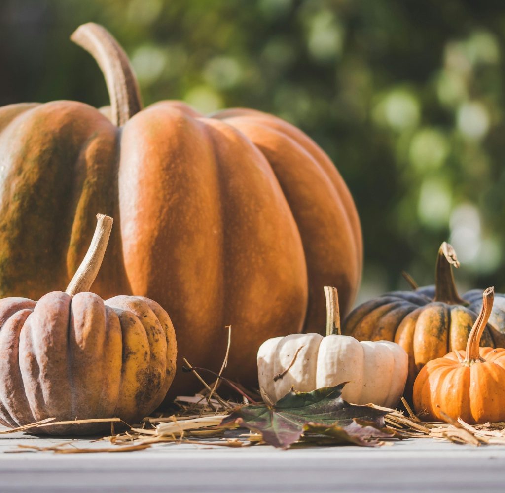 pumpkins of different sizes in a row with fall foliage on porch