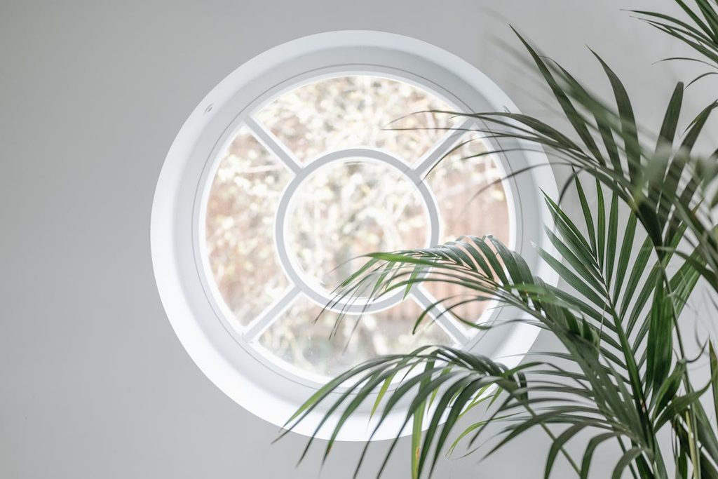 Circle window with a plant next to it