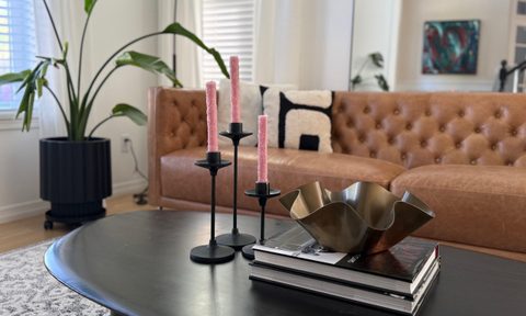 Plant, Furniture, Table