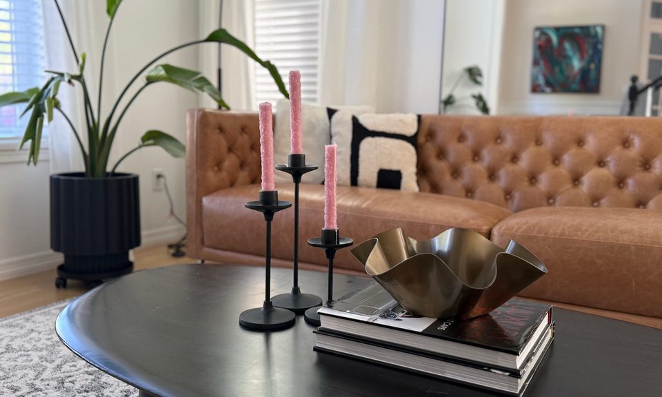 Plant, Furniture, Table