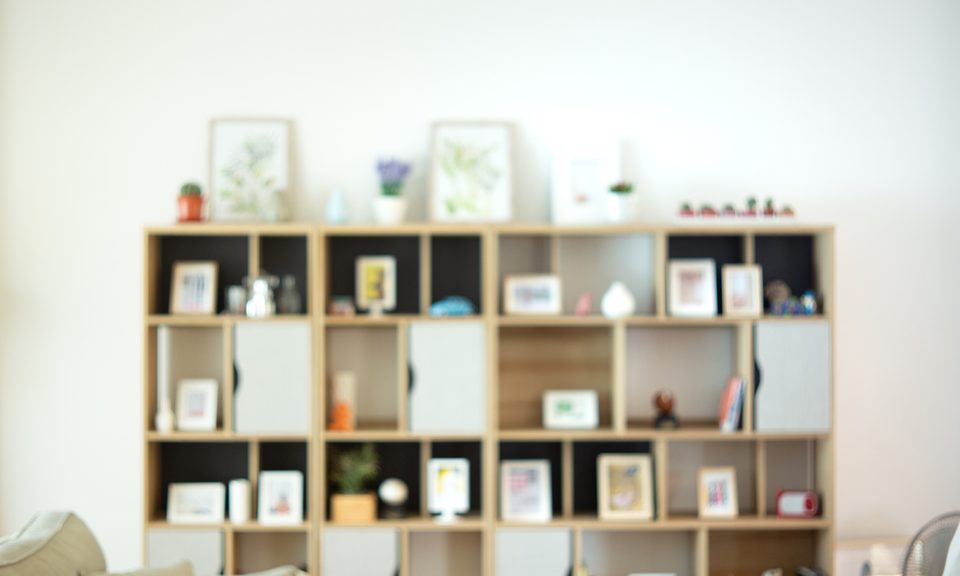 Shelf, Furniture, Bookcase