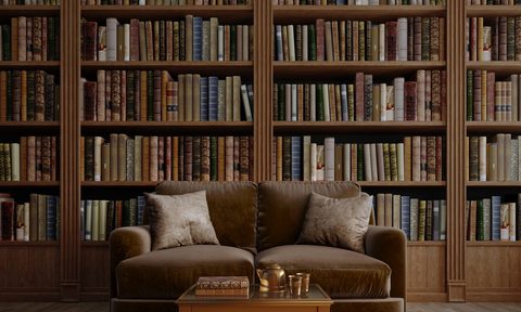 Furniture, Couch, Bookcase